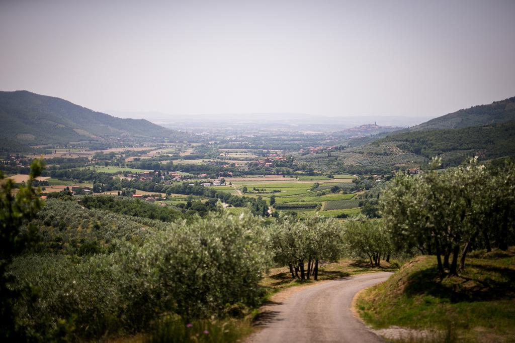Borgo Al Teto La Vite Appartement Castiglion Fiorentino Buitenkant foto