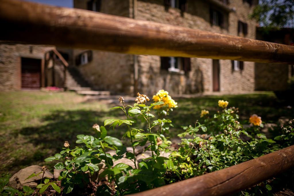 Borgo Al Teto La Vite Appartement Castiglion Fiorentino Buitenkant foto