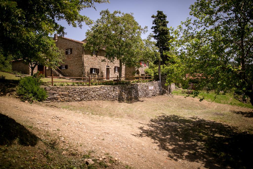 Borgo Al Teto La Vite Appartement Castiglion Fiorentino Buitenkant foto