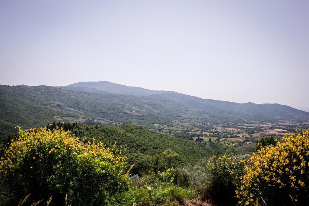 Borgo Al Teto La Vite Appartement Castiglion Fiorentino Buitenkant foto