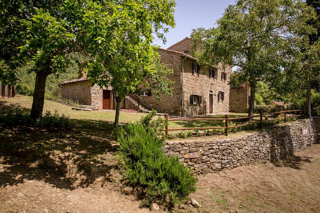 Borgo Al Teto La Vite Appartement Castiglion Fiorentino Buitenkant foto